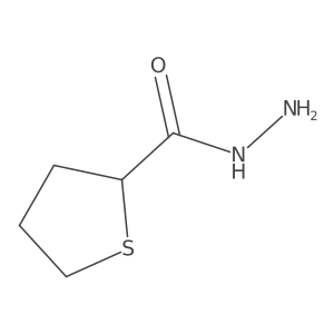 Thiolane-2-carbohydrazide Structure