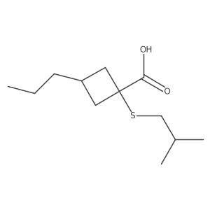 1-[(2-Methylpropyl)sulfanyl]-3-propylcyclobutane-1-carboxylic acid结构式