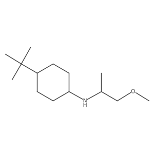 4-tert-butyl-N-(1-methoxypropan-2-yl)cyclohexan-1-amine结构式