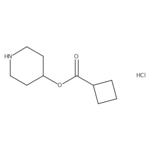 4-Piperidinyl cyclobutanecarboxylate hydrochloride Structure
