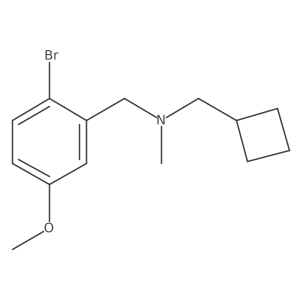 [(2-Bromo-5-methoxyphenyl)methyl](cyclobutylmethyl)methylamine结构式