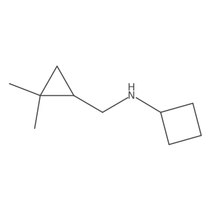 N-[(2,2-dimethylcyclopropyl)methyl]cyclobutanamine结构式