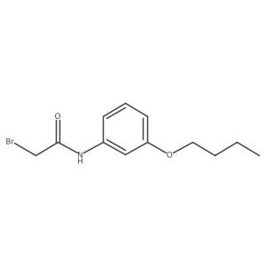 2-Bromo-N-(3-butoxyphenyl)acetamide结构式