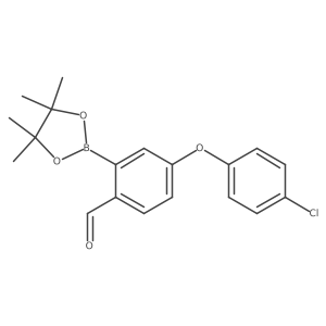 2695517-55-4 structure