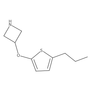3-[(5-Propylthiophen-2-yl)oxy]azetidine结构式