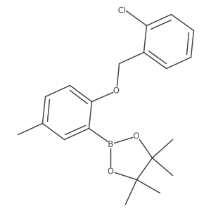 2-[2-[(2-Chlorophenyl)methoxy]-5-methyl-phenyl]-4,4,5,5-tetramethyl-1,3,2-dioxaborolane Structure