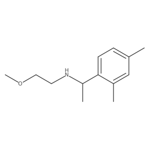 [1-(2,4-Dimethylphenyl)ethyl](2-methoxyethyl)amine结构式