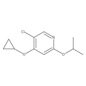 1243365-65-2 structure