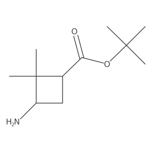 Tert-butyl (1R,3S)-3-amino-2,2-dimethylcyclobutane-1-carboxylate Structure