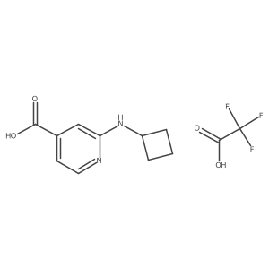 2-(Cyclobutylamino)pyridine-4-carboxylic acid; trifluoroacetic acid Structure