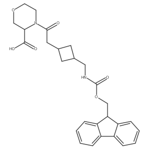 4-(2-{3-[({[(9H-fluoren-9-yl)methoxy]carbonyl}amino)methyl]cyclobutyl}acetyl)morpholine-3-carboxylic acid结构式