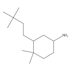 3-(3,3-Dimethylbutyl)-4,4-dimethylcyclohexan-1-amine Structure