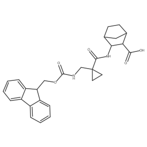 2172312-25-1 structure