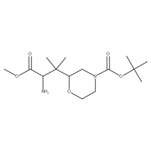 Tert-butyl 2-(3-amino-4-methoxy-2-methyl-4-oxobutan-2-yl)morpholine-4-carboxylate结构式
