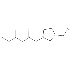 N-(butan-2-yl)-2-[3-(hydroxymethyl)pyrrolidin-1-yl]acetamide Structure