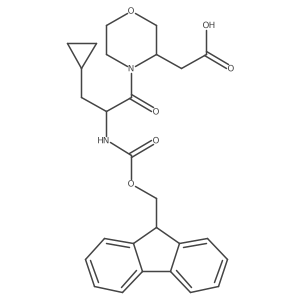 2171485-72-4 structure