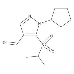 2172564-05-3 structure