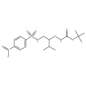 tert-butyl N-{[3-methyl-1-(4-nitrobenzenesulfonamido)butan-2-yl]oxy}carbamate Structure