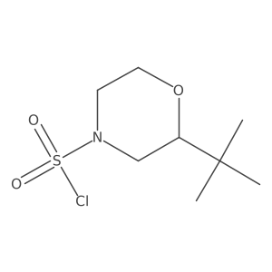 2-Tert-butylmorpholine-4-sulfonyl chloride Structure