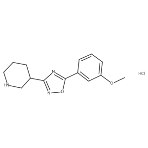 3-[5-(3-Methoxyphenyl)-1,2,4-oxadiazol-3-yl]piperidine hydrochloride结构式