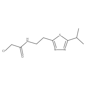 2-Chloro-N-[2-(5-propan-2-yl-1,3,4-thiadiazol-2-yl)ethyl]acetamide结构式