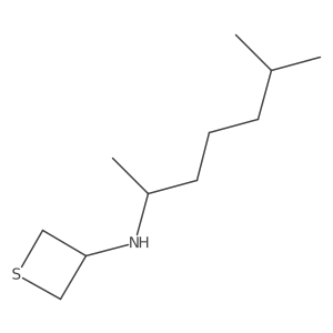 N-(6-Methylheptan-2-yl)thietan-3-amine Structure