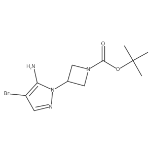 2137628-54-5 structure