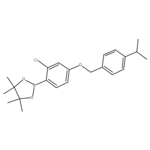 1813553-24-0结构式