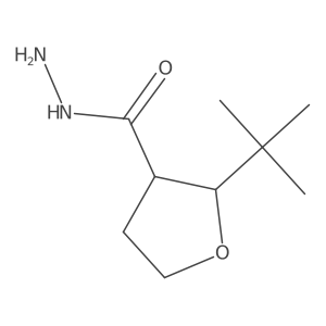 (2R,3R)-2-Tert-butyloxolane-3-carbohydrazide结构式