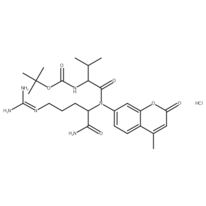 2237216-47-4 structure