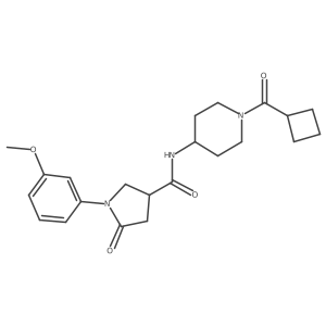 N-[1-(cyclobutylcarbonyl)piperidin-4-yl]-1-(3-methoxyphenyl)-5-oxopyrrolidine-3-carboxamide Structure