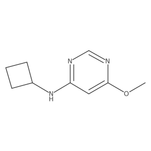 N-cyclobutyl-6-methoxypyrimidin-4-amine结构式