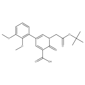 1-[2-(Tert-butoxy)-2-oxoethyl]-5-(2,3-dimethoxyphenyl)-2-oxo-1,2-dihydropyridine-3-carboxylic acid Structure