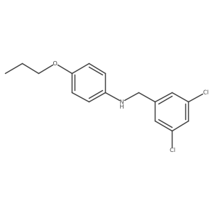 1040689-13-1 structure