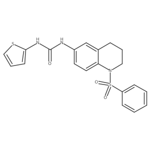 1-(1-(Phenylsulfonyl)-1,2,3,4-tetrahydroquinolin-6-yl)-3-(thiophen-2-yl)urea结构式
