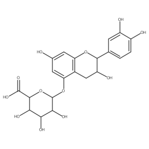 Epicatechin 5-O-glucuronide Structure