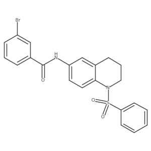 3-bromo-N-(1-(phenylsulfonyl)-1,2,3,4-tetrahydroquinolin-6-yl)benzamide Structure