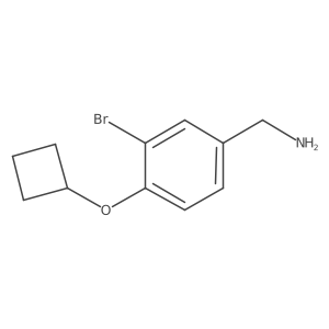 (3-Bromo-4-cyclobutoxyphenyl)methanamine结构式