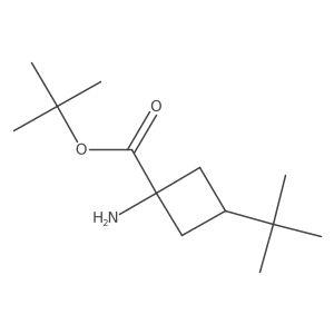 Tert-butyl 1-amino-3-tert-butylcyclobutane-1-carboxylate结构式