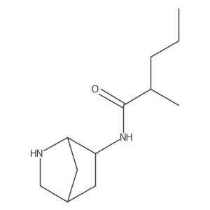N-{2-azabicyclo[2.2.1]heptan-6-yl}-2-methylpentanamide Structure