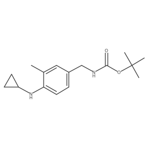 tert-butyl N-{[4-(cyclopropylamino)-3-methylphenyl]methyl}carbamate Structure
