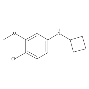4-Chloro-N-cyclobutyl-3-methoxyaniline Structure