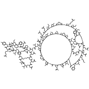 88232-11-5 structure