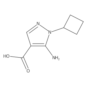 5-amino-1-cyclobutyl-1H-pyrazole-4-carboxylic acid结构式
