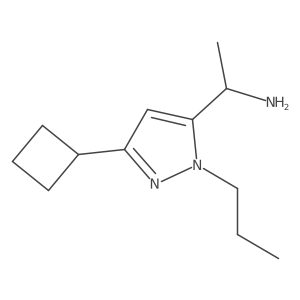 1-(3-cyclobutyl-1-propyl-1H-pyrazol-5-yl)ethan-1-amine结构式