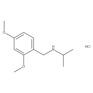 [(2,4-Dimethoxyphenyl)methyl](propan-2-yl)amine hydrochloride结构式