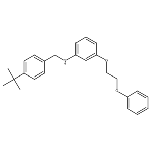 N-[4-(Tert-butyl)benzyl]-3-(2-phenoxyethoxy)-aniline结构式