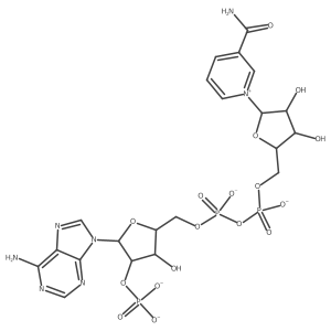 coenzyme II结构式