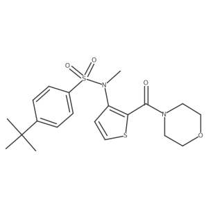4-(tert-butyl)-N-methyl-N-(2-(morpholine-4-carbonyl)thiophen-3-yl)benzenesulfonamide Structure