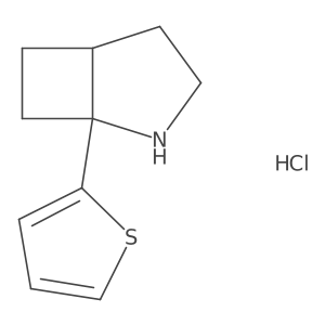 rac-(1R,5R)-1-(thiophen-2-yl)-2-azabicyclo[3.2.0]heptane hydrochloride Structure